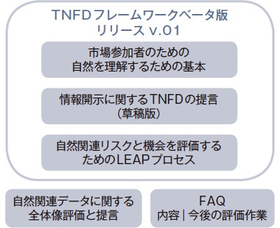 ■ TNFD枠組みのベータ版の構成