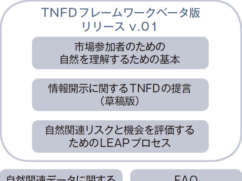 TNFD、初の枠組み草案を発表
