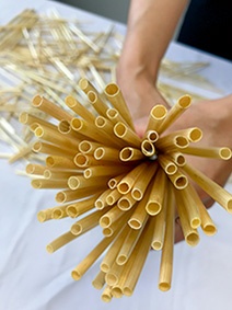 麦の茎を乾燥、切断して作る麦わらストロー(左)。麦の種類や産地によって色合いや太さ、長さが異なる「ふぞろい」な点が特徴だ。麦わらストローの原料となる大麦畑(右)<br><span class="fontSizeS">(写真:大麦倶楽部(左)、アサヒグループホールディングス(右))</span>