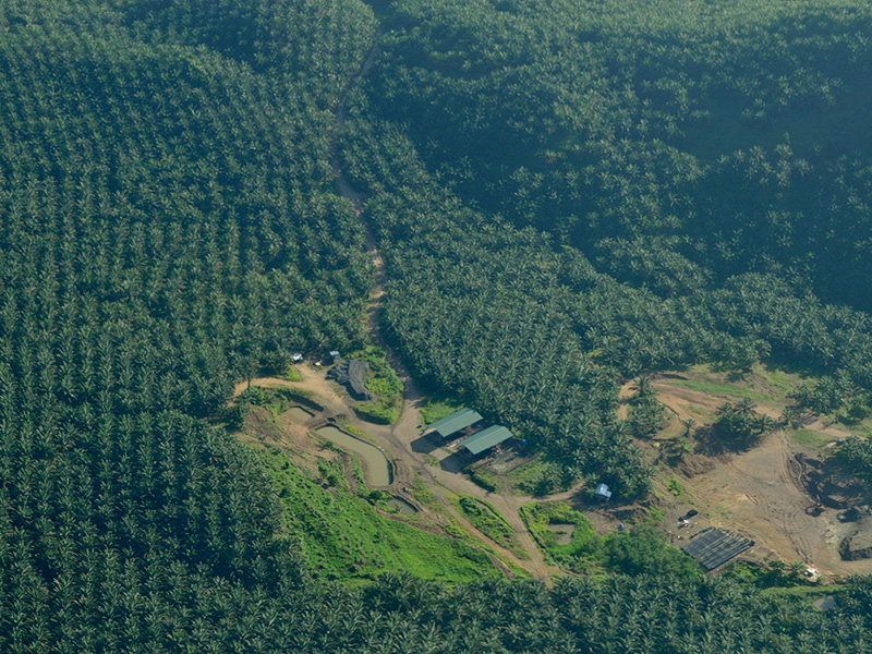 「ネイチャーファイナンス」が加速