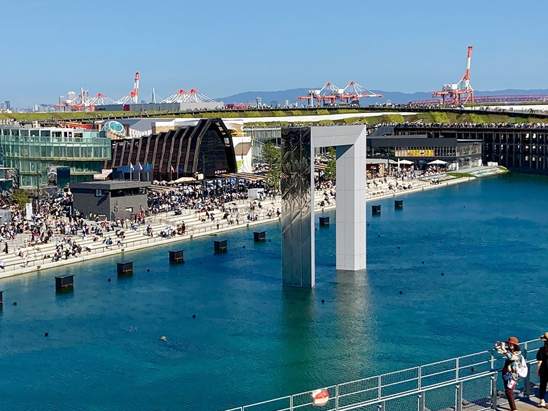 「ブルーカーボン」に商機