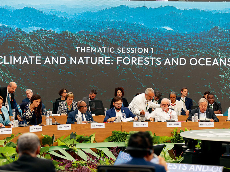 COP30、熱帯雨林に20兆円