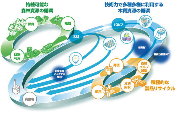 日本製紙・谷口哲章常務「森から始まる循環経済の未来」 | 日経ESG
