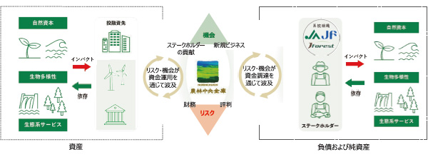 詳解排出権信託 制度設計と活用事例  /中央経済社/中央三井トラスト・ホ-ルディングス株式会（単行本） 農林中央金庫、TCFDとTNFDを統合開示へ | 日経ESG