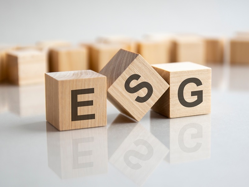 スチュワードシップ・コード