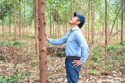 Emphasizing forestry to contribute to local society