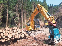<b>生物多様性に寄与する間伐材利用</b><br>年間約15万m3の間伐材を中国や台湾などに販売。木材価格の底上げや雇用の確保を通じた地域経済の活性化に寄与するだけでなく、森林による二酸化炭素吸収促進にも貢献している