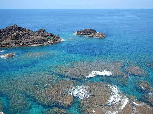 沖永良部島の海(写真提供:石田氏)