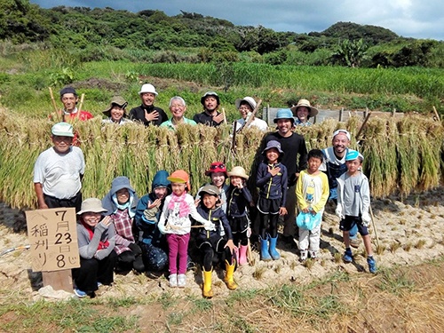 沖永良部島では近年、過去に減反政策でストップしていた稲作を復活させた(写真提供:石田氏)