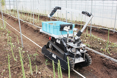 inahoが開発している収穫ロボットの外観。アームで作物をつかみ、かごに入れる。白線は自動運転のためのガイド（写真提供：inaho）