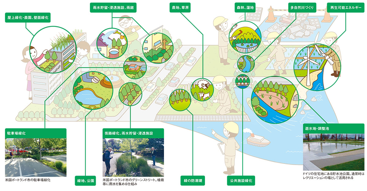 グリーンインフラ」とは何か？｜新・公民連携最前線｜PPPまちづくり