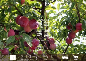 完熟農園の<a href="http://kanjuku-farm.jp" target="_blank">ウェブサイト</a>