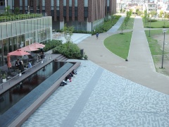 公園側に開かれたキャンパス建物（A棟）の1階（写真：茂木俊輔）