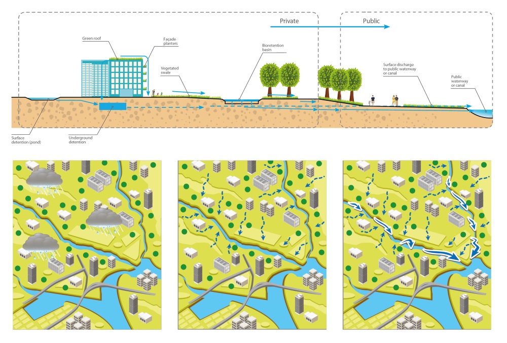 水問題にグリーンインフラ活用、先進国シンガポール｜新・公民連携最