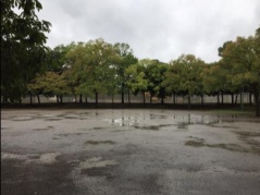 左はリニューアル前の竹園西広場公園。砂利敷きで水はけが悪く利用者は少なかった。右はリニューアル後。2020年7月に撮影（写真：フージャースコーポレーション）