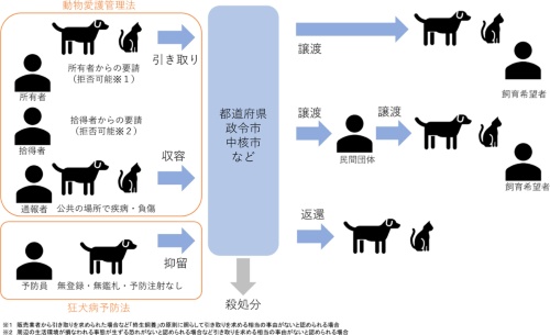 法律に基づく犬・猫の引き取り・譲渡事業の流れ（条文・取材を基に作成）