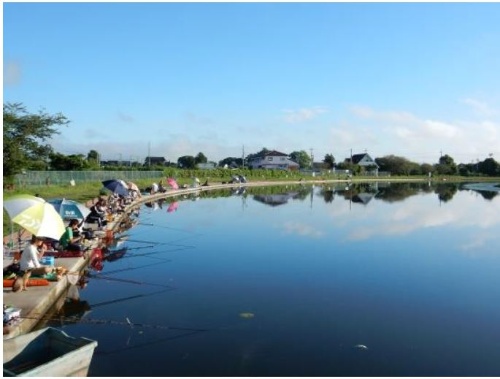 小貝川の旧河道を利用した全国でも珍しい市営の『へら釣り場』（資料：常総市）
