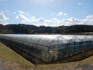 農業公園の再整備に向け事業手法も含めサウンディング 富田林市 新 公民連携最前線 Pppまちづくり 農業公園の再整備に向け事業手法も含めサウンディング 富田林市 新 公民連携最前線 Pppまちづくり