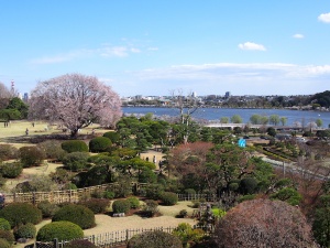 茨城県 偕楽園の魅力向上事業を星野リゾートに委託 新 公民連携最前線 Pppまちづくり 茨城県 偕楽園の魅力向上事業を星野リゾートに委託 新 公民連携最前線 Pppまちづくり