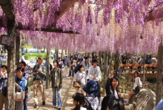 天王川公園でpark Pfiを導入 津島市が指定管理者と一体で事業者募集 新 公民連携最前線 Pppまちづくり 天王川公園でpark Pfiを導入 津島市が指定管理者と一体で事業者募集 新 公民連携最前線 Pppまちづくり