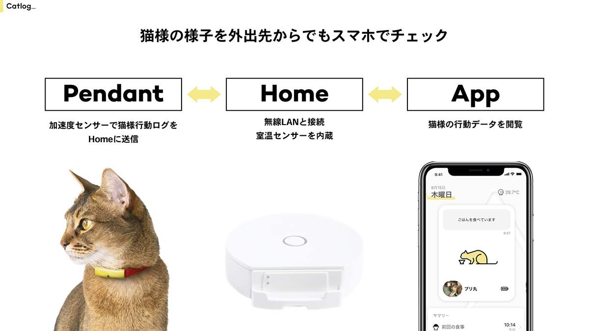 リニューアル中】【日本製】【MAISON】スケルトンボウル付き