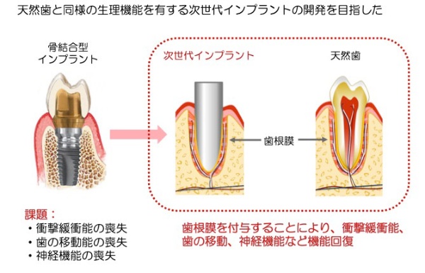 歯や毛髪の再生で生活の質を向上させる Beyond Health ビヨンドヘルス
