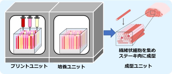 本プロジェクトにおける培養肉の自動生産装置のイメージ(出所:シグマクシス)