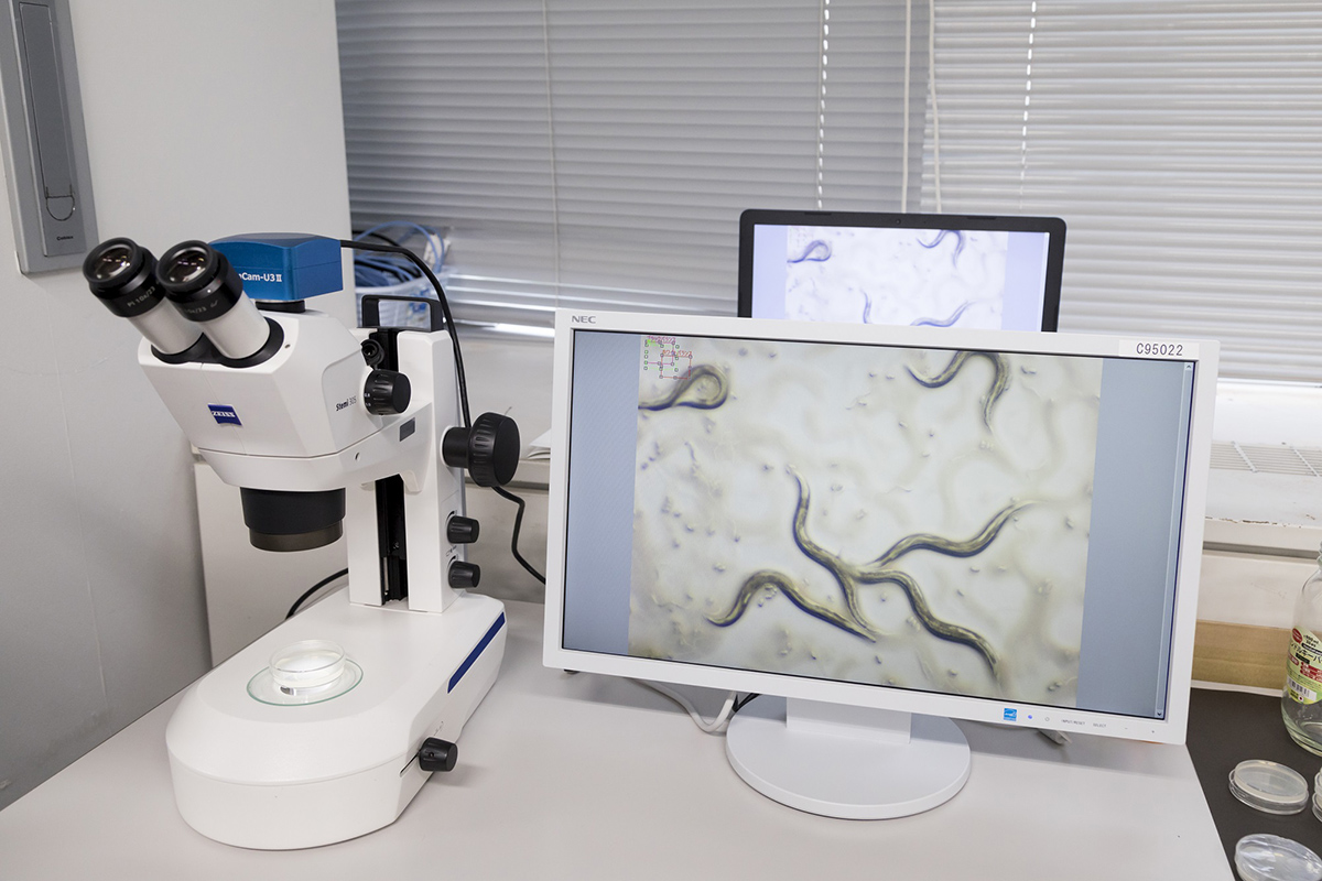 T*️様 【お値下げ】Ｎ-NOSE 線虫ガン検査　HIROTSU BIO SCI N-NOSE」をその場で購入、採尿、提出できる「線虫N-NOSE出張がん