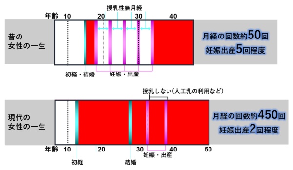 図1●女性の生殖パターンの変化