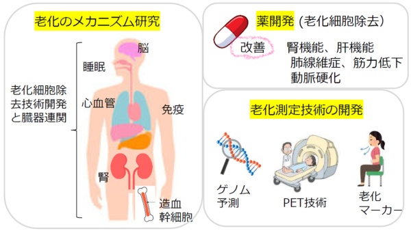 図2●中西教授がプログラムマネジャーを務めるムーンショット目標の概要