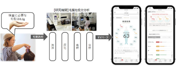 髪の毛からカラダの栄養をチェックする「いこらぼ」の仕組み(出所:プレスリリース)