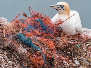 海洋汚染によるプラスチック禁止