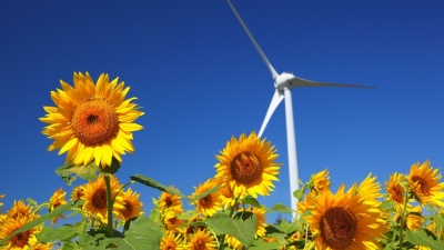 写真は福島県のひまわり畑と風力発電（出所：123RF）