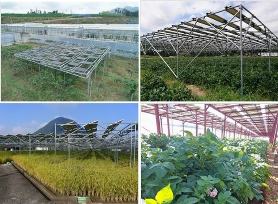 低すぎる支柱高に補助金不正疑惑、営農型太陽光発電に浮かぶ懸念｜日経