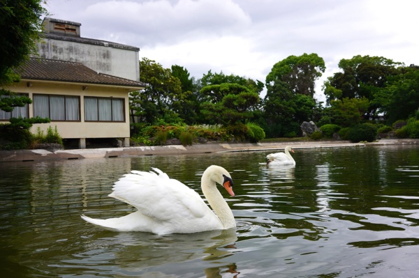 中野BCの本社工場の広大な敷地には池があり、酒蔵見学に訪れる人を楽しませている（写真：塩見なゆ）