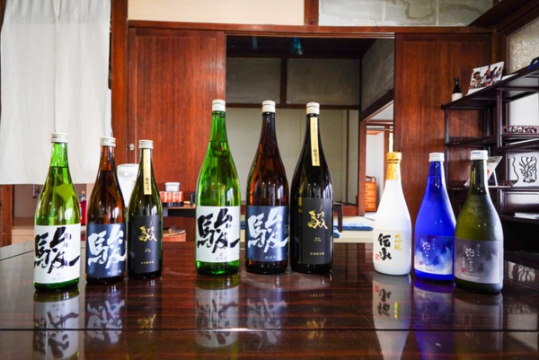 いそのさわを代表する銘柄「駿」など(写真:塩見なゆ)