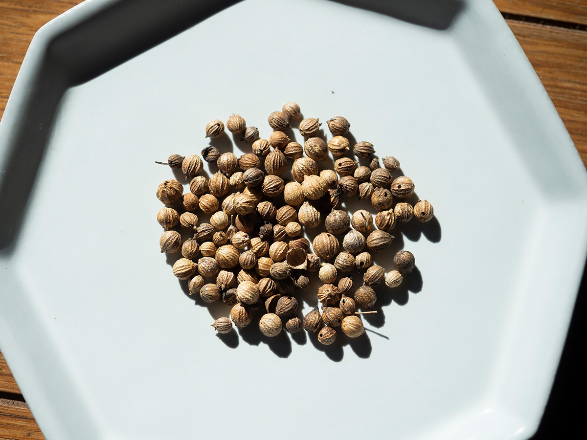 パクチー銀行 で人と地域を盛り上げる 理想のコミュニティーを創造 ひとまち結び パクチー銀行 で人と地域を盛り上げる 理想のコミュニティーを創造 ひとまち結び