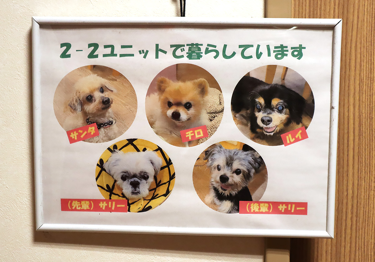 高齢になっても犬や猫と暮らせる終の棲家 横須賀市の特養ホーム 高齢になっても犬や猫と暮らせる終の棲家 横須賀市の特養ホーム