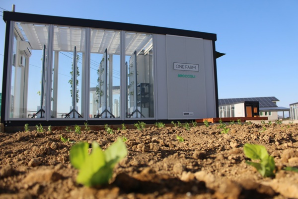 植物工場の内部には独自の縦型水耕栽培装置が備えられている。IoT（モノのインターネット）技術によって遠隔地でもモニタリングや温熱環境のコントロールが可能だ（写真：グリーンリバーホールディングス）