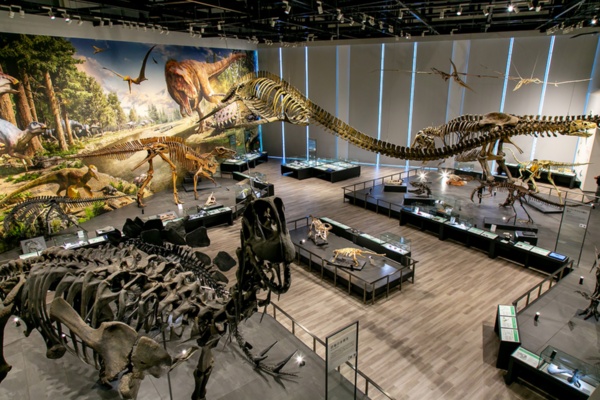 館内には大小を問わず多数の恐竜が展示されている