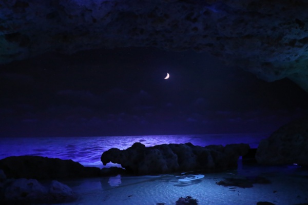 「DMMかりゆし水族館」の夜間のバーチャル映像の例（写真：原澤恵太氏）