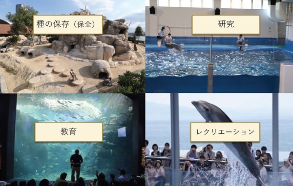 水族館の4つの役割（資料：原澤恵太氏）