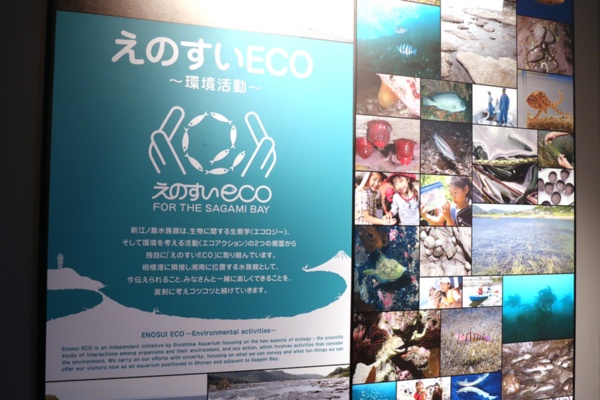「新江ノ島水族館」の館内に飾られている「えのすいeco活動」の紹介パネル（写真：原澤恵太氏）