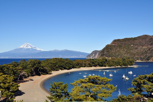 戸田港から突き出た御浜岬の内側にある美しい御浜海水浴場。緑深い松林越しに、駿河湾を挟んで富士山を望める贅沢なスポットだ。戸田健康の森からの眺め(提供:沼津市)