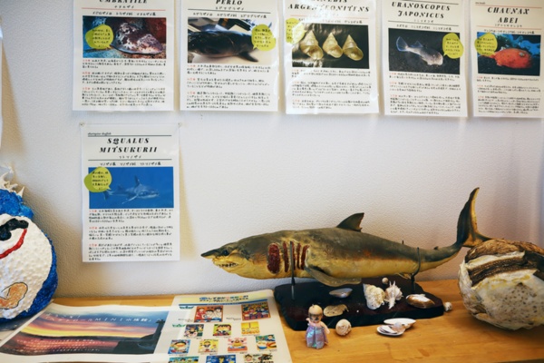 漁協の直売所の一角にある展示室「ヘダトロール」。小さな水槽のほか、資料や標本などが展示されている。協力隊の任期が終了した現在も、青山さんはボランティアで管理を続けている(撮影:中島有里子)
