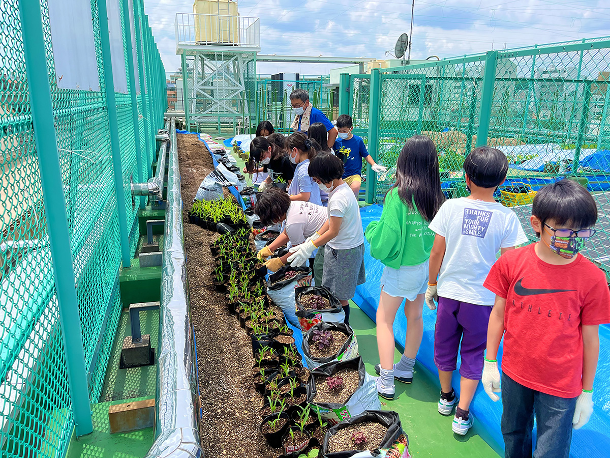 新宿の小学校の屋上が農園に、1日に野菜100キロを収穫（3ページ目