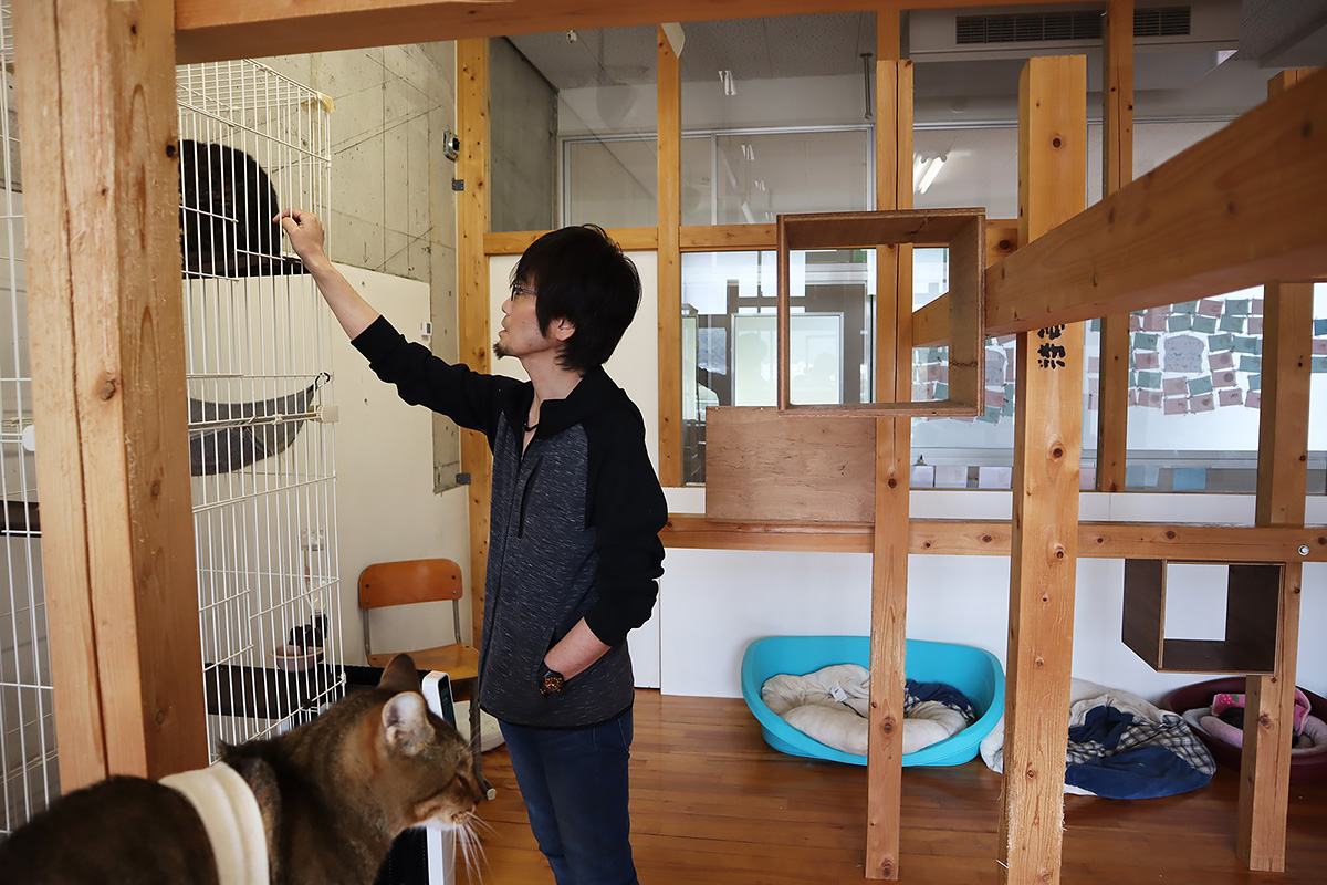 岡山の廃校を利活用して保護猫の譲渡活動、「持続可能な保護活動