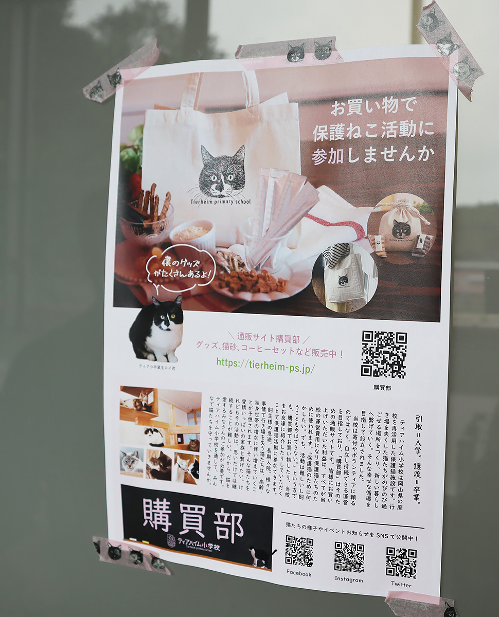 龍脈の精髄 ― ガーデンクォーツ & カテドラル（売上の一部は保護猫活動