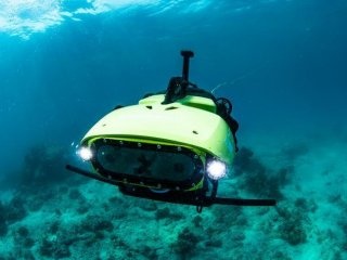 Credit: Great Barrier Reef Foundation/Gary Cranitch/Queensland Museum