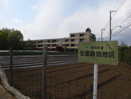 （写真1）西東京市内の生産緑地。市内の北東部と南西部に点在する。中には「災害時協力農地」として緊急の避難場所に利用できる農地もある（写真：茂木俊輔）